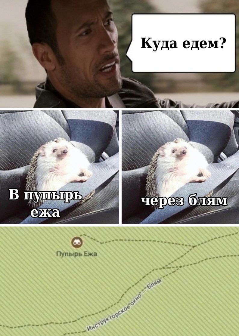 Куда едем? 2} и В через блям ежа У Paw