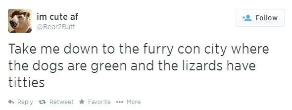 cute Follow Take me down to the furry con city where the dogs are green and the lizards have titties 4 Reply 43 Favorite More