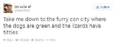 cute Follow Take me down to the furry con city where the dogs are green and the lizards have titties 4 Reply 43 Favorite More