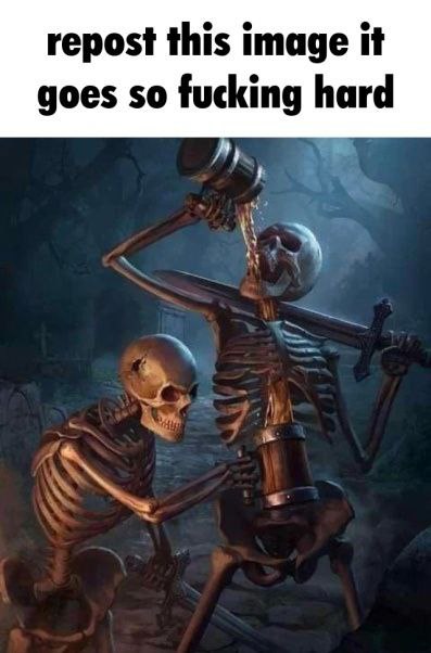repost this image it goes so fucking hard