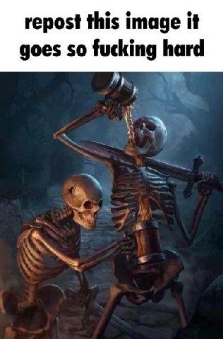 repost this image it goes so fucking hard