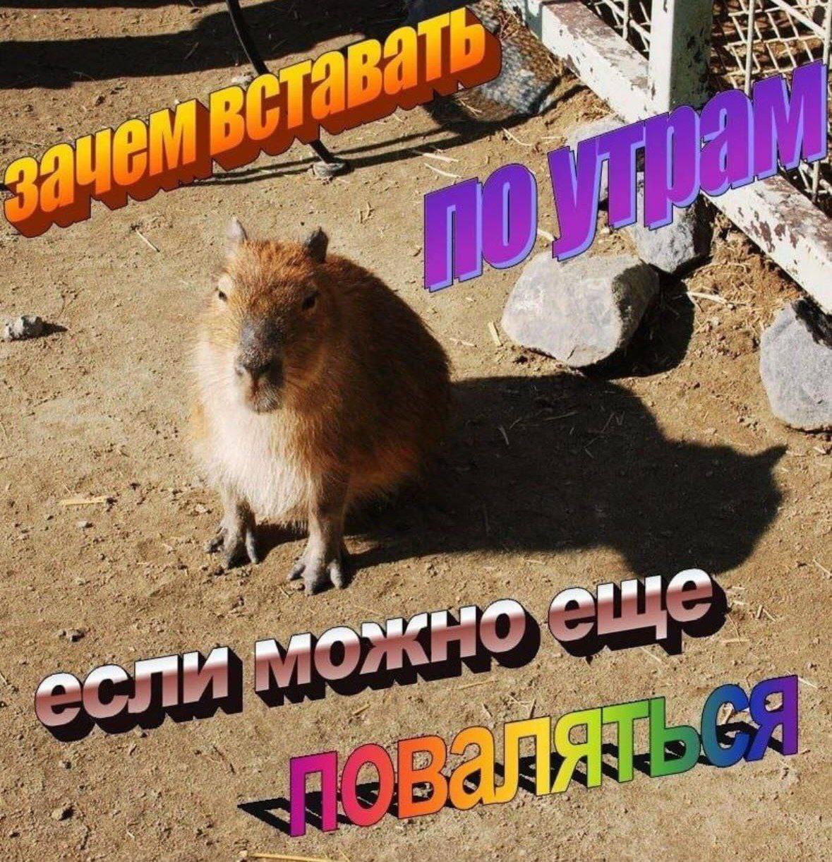 a “Me we 7 4 23 paw а 4 в У 4