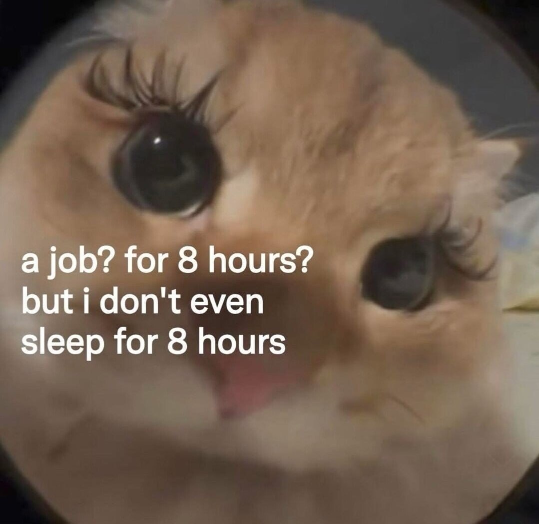 а job? for 8 hours? but i don't even sleep for 8 hours