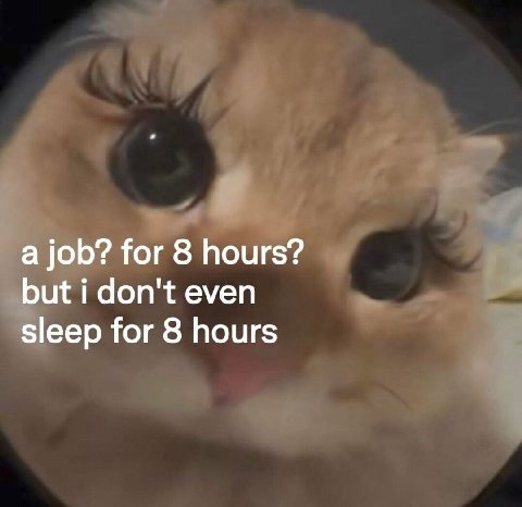а job? for 8 hours? but i don't even sleep for 8 hours