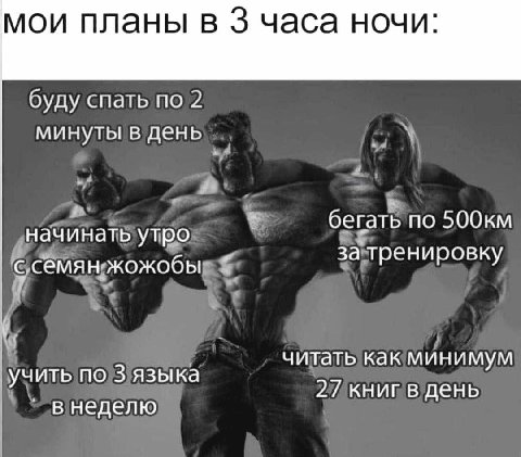 мои планы в 3 часа ночи: буду спать по 2 минуты в день бегать по 500KmM начинать утро за тренировку с семян жожобы читать как минимум учить по 3 языка 27 книг в день в неделю