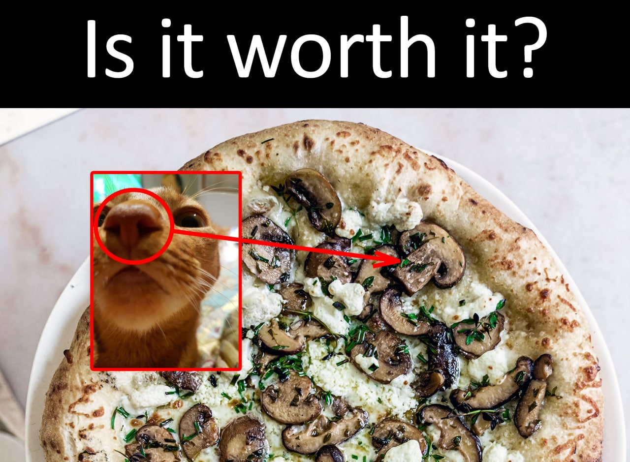 Is it worth it? 7 7 iN