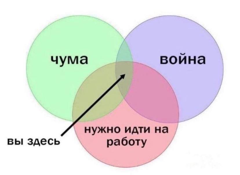 вы здесь