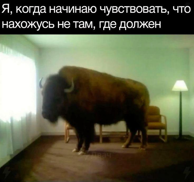 Я, когда начинаю чувствовать, что нахожусь не там, где должен