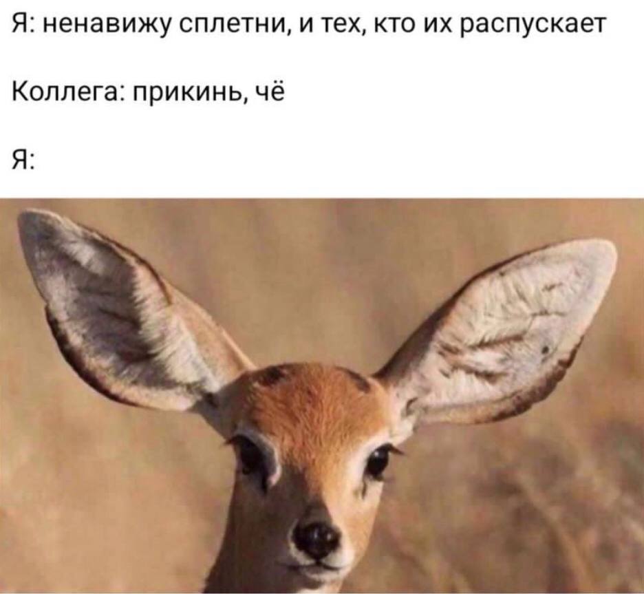 Я: ненавижу сплетни, и тех, кто распускает Коллега: прикинь, чё Я: