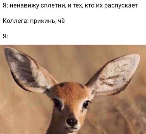 Я: ненавижу сплетни, и тех, кто распускает Коллега: прикинь, чё Я: