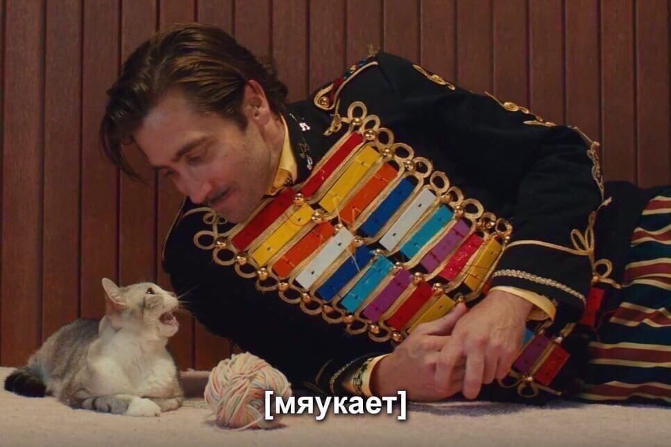 мяукае