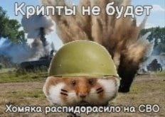 не будел не буд Хомяка распидорасило на CBO