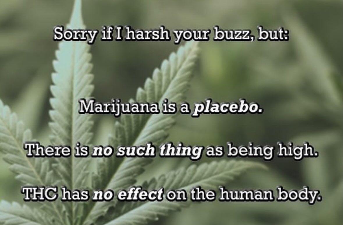 if] harsh your buzz, but: а placebo. There is по such thing as being high. _THC has no effecton the human body