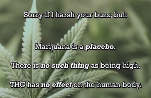 if] harsh your buzz, but: а placebo. There is по such thing as being high. _THC has no effecton the human body
