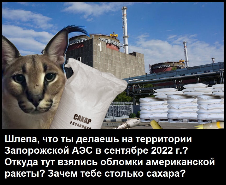 4-25 Шлепа, что ты делаешь на территории Запорожской АЭС в сентябре 2022 Откуда тут взялись обломки американской ракеты? Зачем тебе столько сахара?