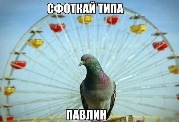 хахахахах чейчей