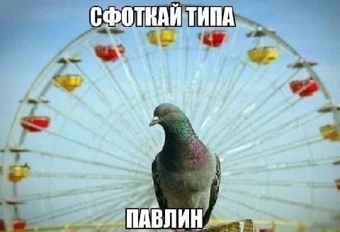 хахахахах чейчей