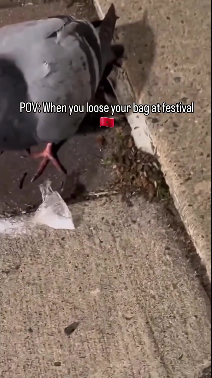 POV: When you loose your bag at festival pe etter State Sone” ee Sar See VE IT ao arena arranger [have ‘. в POVWhen,you loose\youmbagiatfestival