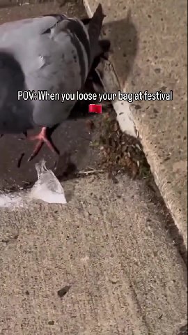 POV: When you loose your bag at festival pe etter State Sone” ee Sar See VE IT ao arena arranger [have ‘. в POVWhen,you loose\youmbagiatfestival