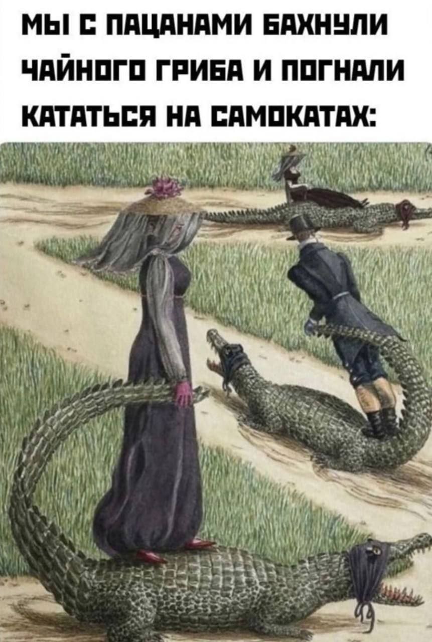 МЫ! С ПАЦАНАМИ БАХНУЛИ ЧАИНОГО ГРИБА И ПОГНАЛИ КАТАТЬСЯ НА САМОКАТАХ: i}