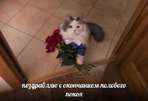 поздравляю с окончанием полового покоя