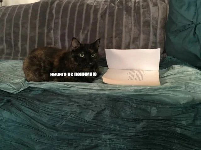 ничего не понимаю