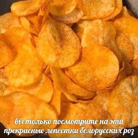 вы только посмотрите на эти прекрасные лепестки делорусских роз