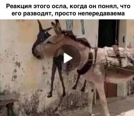 я