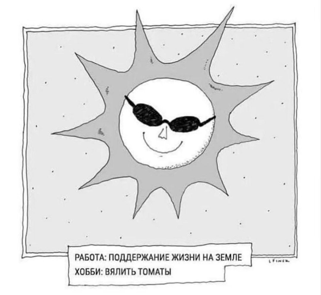 РАБОТА: ПОДДЕРЖАНИЕ ЖИЗНИ ЗЕМЛЕ ХОББИ: ВЯЛИТЬ ТОМАТЫ