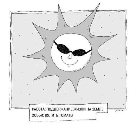 РАБОТА: ПОДДЕРЖАНИЕ ЖИЗНИ ЗЕМЛЕ ХОББИ: ВЯЛИТЬ ТОМАТЫ