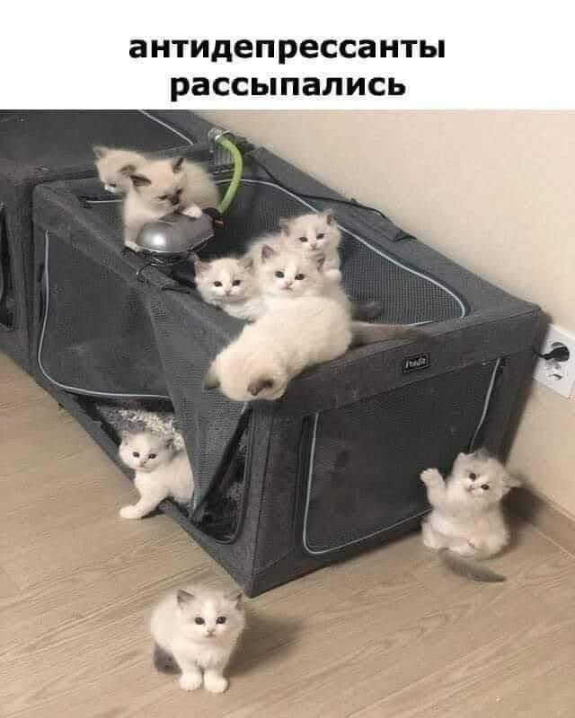 антидепрессанты рассыпались a,