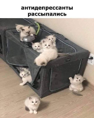 антидепрессанты рассыпались a,