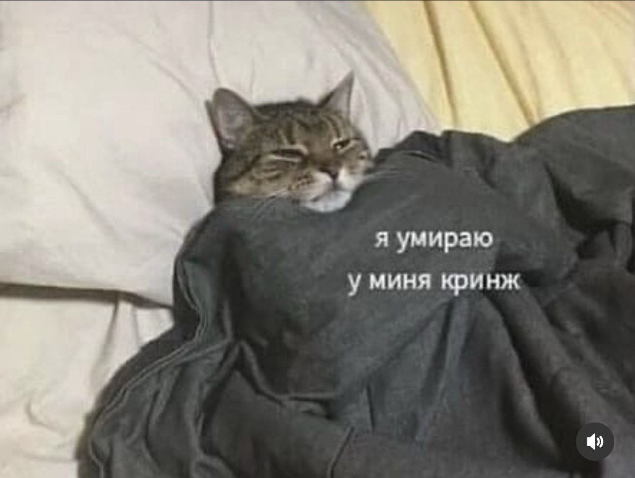 я умираю кринж