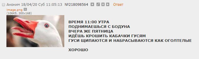 Аноним 18/04/20 Суб 11:05:13 №218098564 отзет mage.png ВРЕМЯ 11:00 УТРА ПОДНИМАЕШЬСЯ С БОДУНА ВЧЕРА ЖЕ ПЯТНИЦА ИДЕШЬ КРОШИТЬ КАБАЧКИ ГУСЯМ ГУСИ ЩИПАЮТСЯ И НАБРАСЫВАЮТСЯ КАК ОГОЛТЕЛЫЕ ХОРОШО