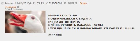 Аноним 18/04/20 Суб 11:05:13 №218098564 отзет mage.png ВРЕМЯ 11:00 УТРА ПОДНИМАЕШЬСЯ С БОДУНА ВЧЕРА ЖЕ ПЯТНИЦА ИДЕШЬ КРОШИТЬ КАБАЧКИ ГУСЯМ ГУСИ ЩИПАЮТСЯ И НАБРАСЫВАЮТСЯ КАК ОГОЛТЕЛЫЕ ХОРОШО