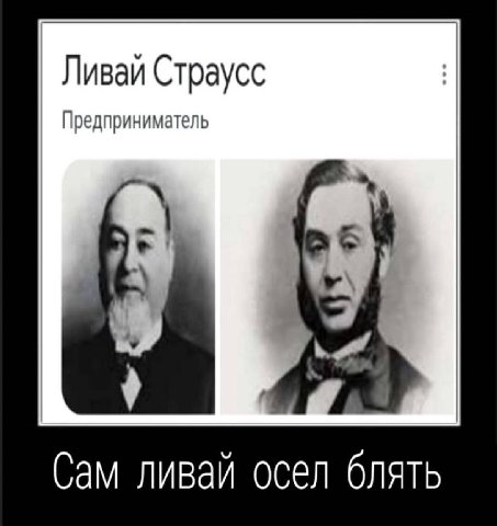 Ливай Страусс Предприниматель Сам ливай осел блять