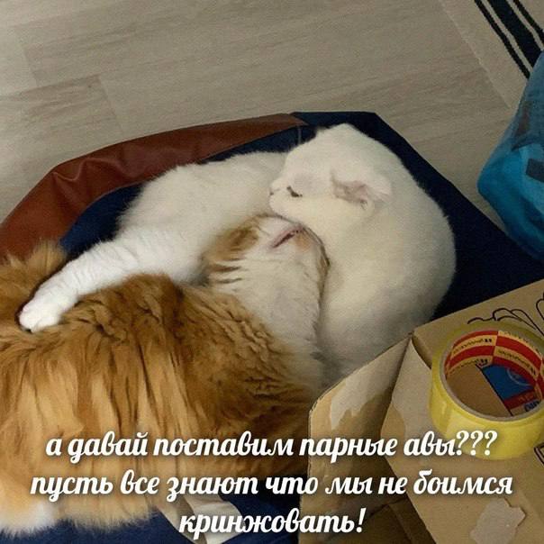 а давай поставим парные абы??? пусть все энают что мы не боимся `кринжовать!
