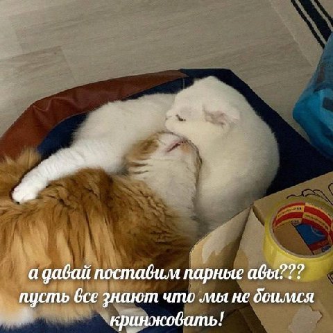 а давай поставим парные абы??? пусть все энают что мы не боимся `кринжовать!