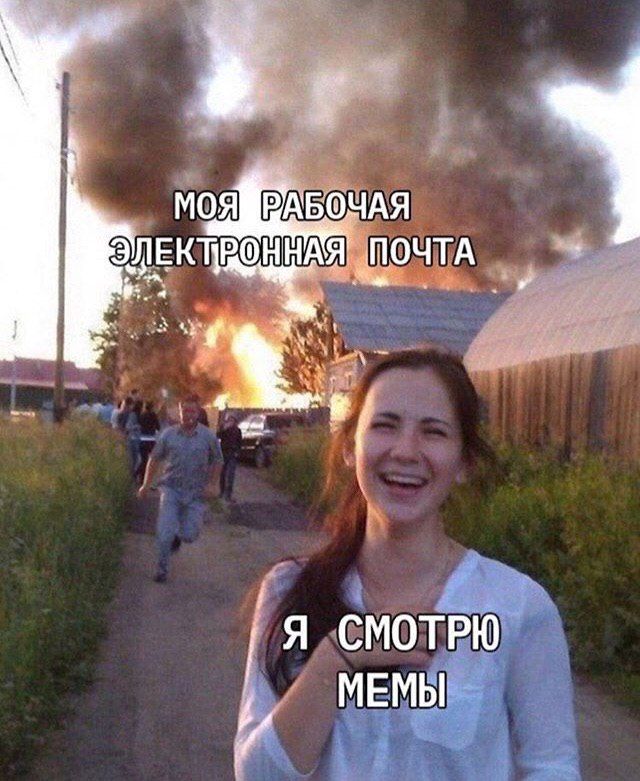 Mog ЧАЯ ПОЧТА A СМОТРЮ