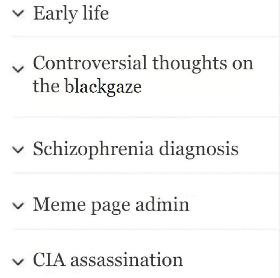 у Early life Controversial thoughts on the blackgaze у Schizophrenia diagnosis у Meme page admin CIA assassination
