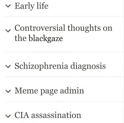 у Early life Controversial thoughts on the blackgaze у Schizophrenia diagnosis у Meme page admin CIA assassination