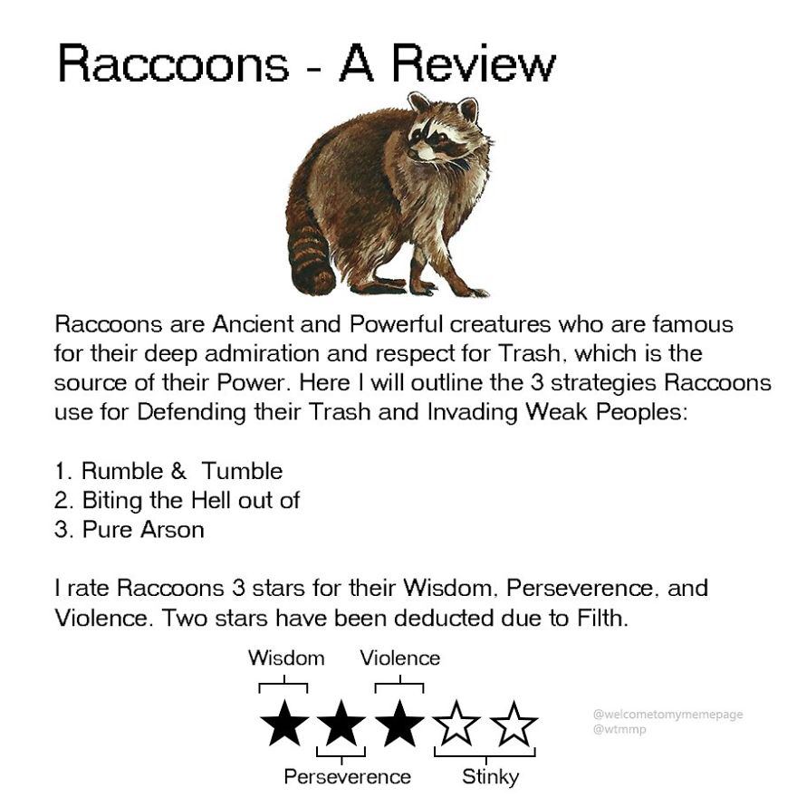Raccoons А Raccoons are Ancient and Powerful creatures who are famous for their deep admiration and respect for Trash, which is the source of their Power. Here will outline the 3 strategies Raccoons u