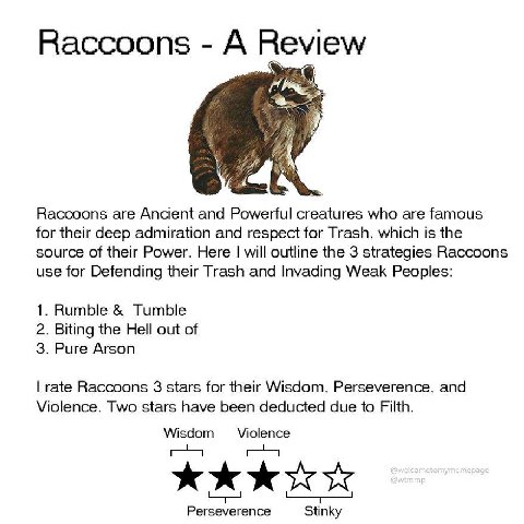 Raccoons А Raccoons are Ancient and Powerful creatures who are famous for their deep admiration and respect for Trash, which is the source of their Power. Here will outline the 3 strategies Raccoons u