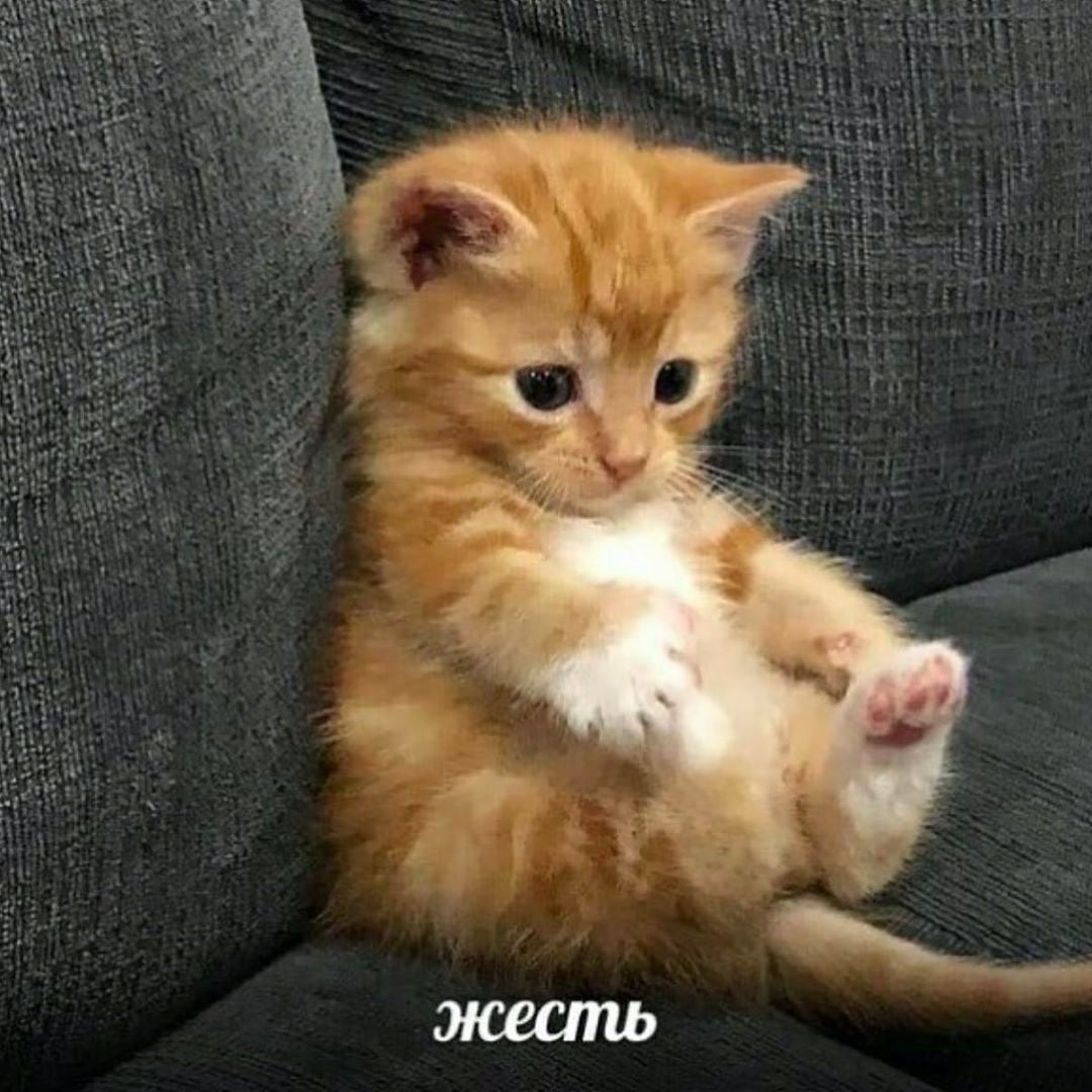 2 жесть
