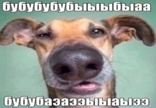 4 3