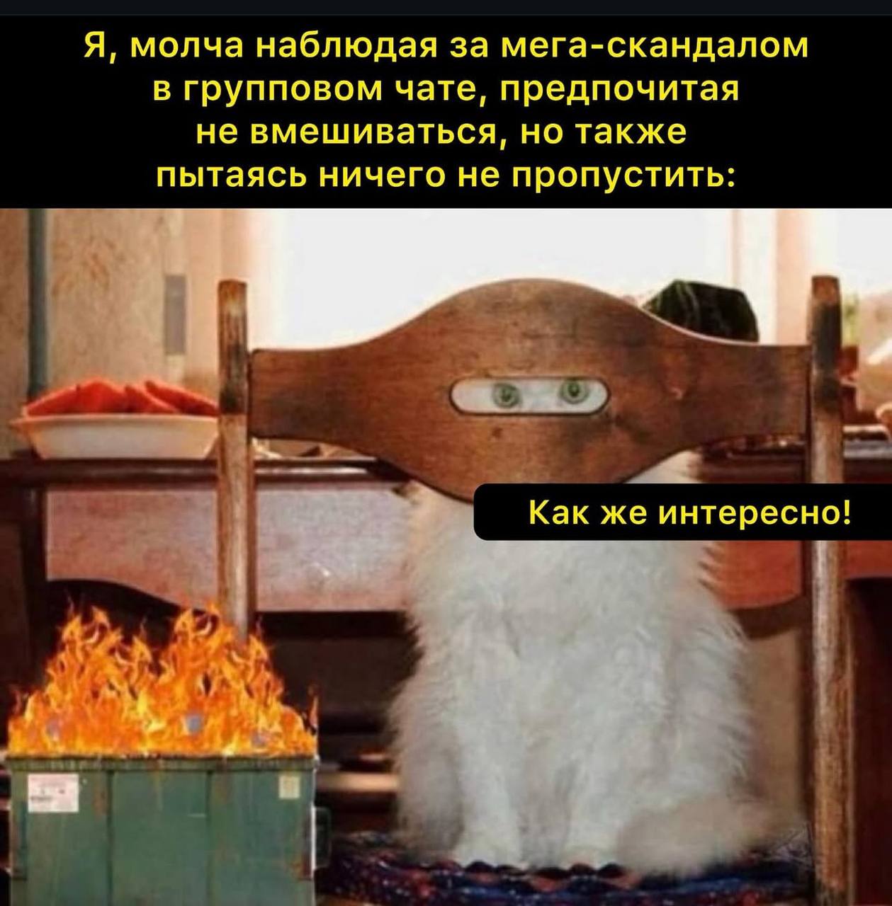 Я, молча наблюдая за мега-скандалом в групповом чате, поедпочитая не вмешиваться, но также пытаясь ничего не пропустить: Как же интересно! я