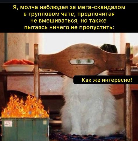 Я, молча наблюдая за мега-скандалом в групповом чате, поедпочитая не вмешиваться, но также пытаясь ничего не пропустить: Как же интересно! я
