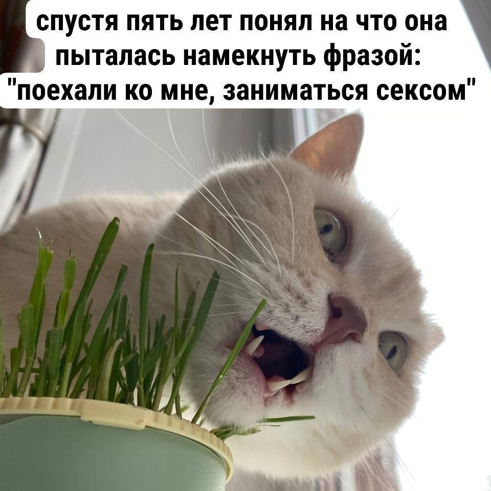спустя пять лет понял на что она пыталась намекнуть фразой: "поехали мне, заниматься сексом" у