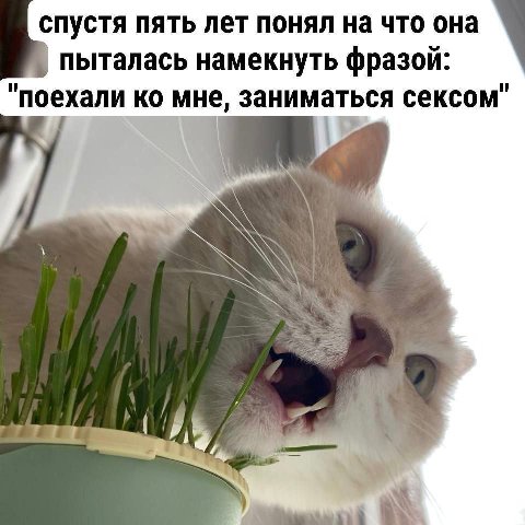 спустя пять лет понял на что она пыталась намекнуть фразой: "поехали мне, заниматься сексом" у