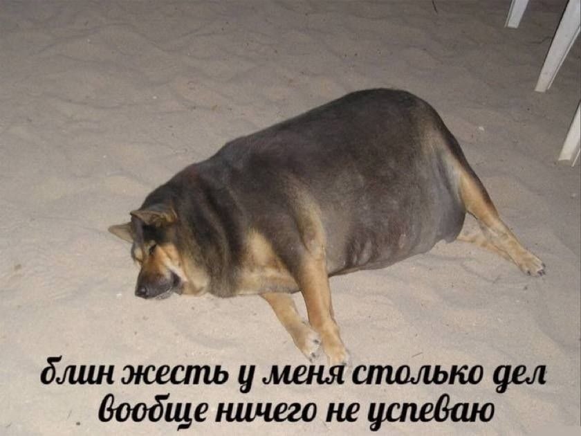 “as блин жесть у ‚меня столько дел ничего не успеваю